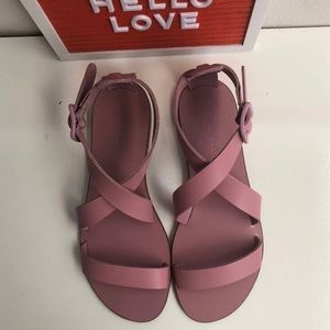 Everlane Wrap Sandal Bundle